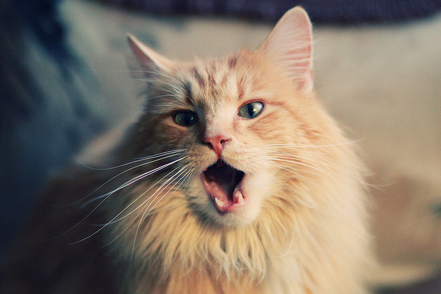 爱游戏官方网站-_世界运动博览会：科技、文化、体育的盛会_，运博会开幕式